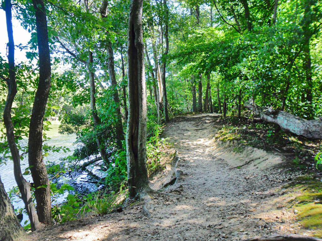 Private Boho Bungalow 10 Minutes To Downtown Rva! Ричмонд Экстерьер фото